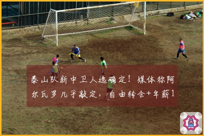 泰山队新中卫人选确定！媒体称阿尔瓦罗几乎敲定，自由转会+年薪100万