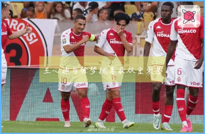 王心迪与徐梦桃喜获双金荣誉