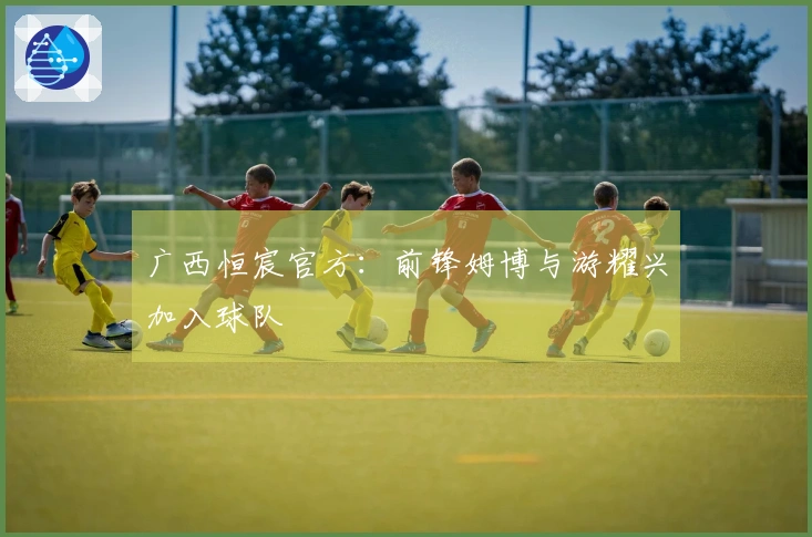 广西恒宸官方：前锋姆博与游耀兴加入球队